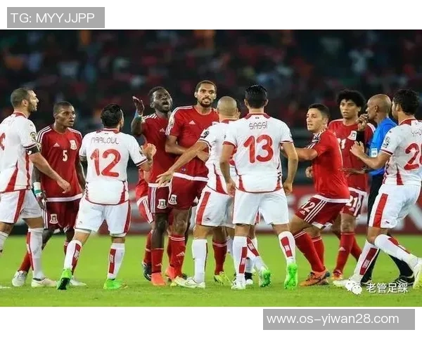 加纳与突尼斯精彩对决视频集锦回顾全场进球与精彩瞬间 加纳与突尼斯精彩对决视频集锦回顾全场进球与精彩瞬间