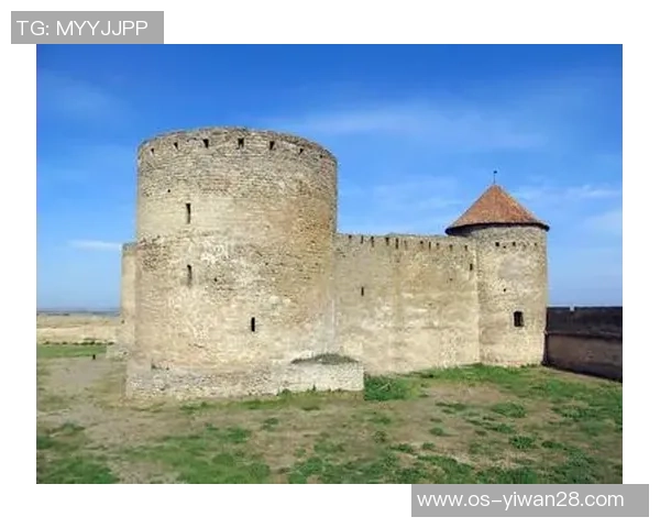 新城堡与阿德莱的对决解析：战术较量与球员表现的全面分析